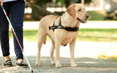 Helen Keller Deaf-Blind Awareness Week